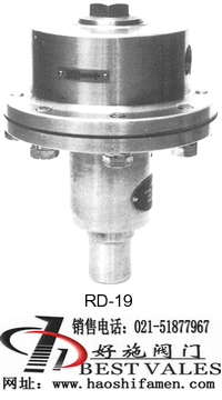 RD-19 py